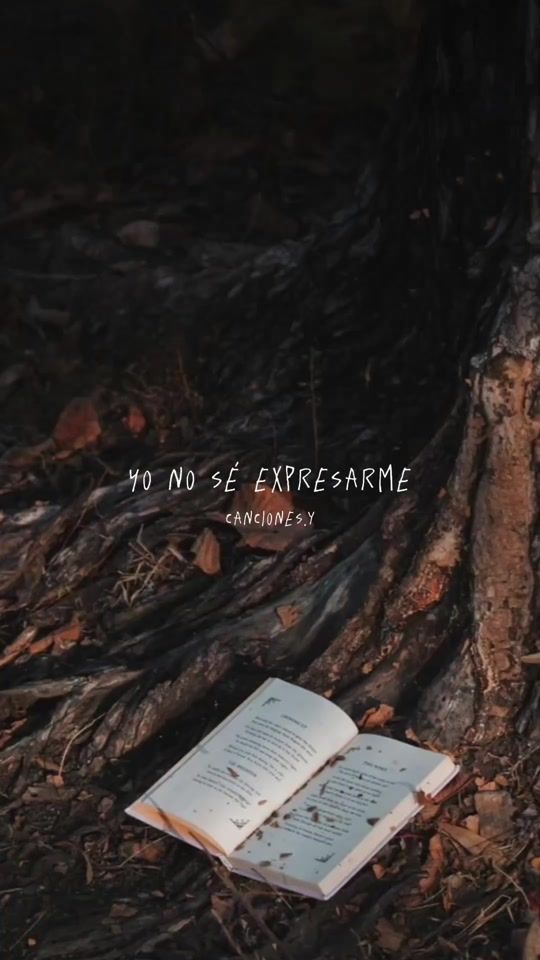 TikTok video thumbnail by canciones.y