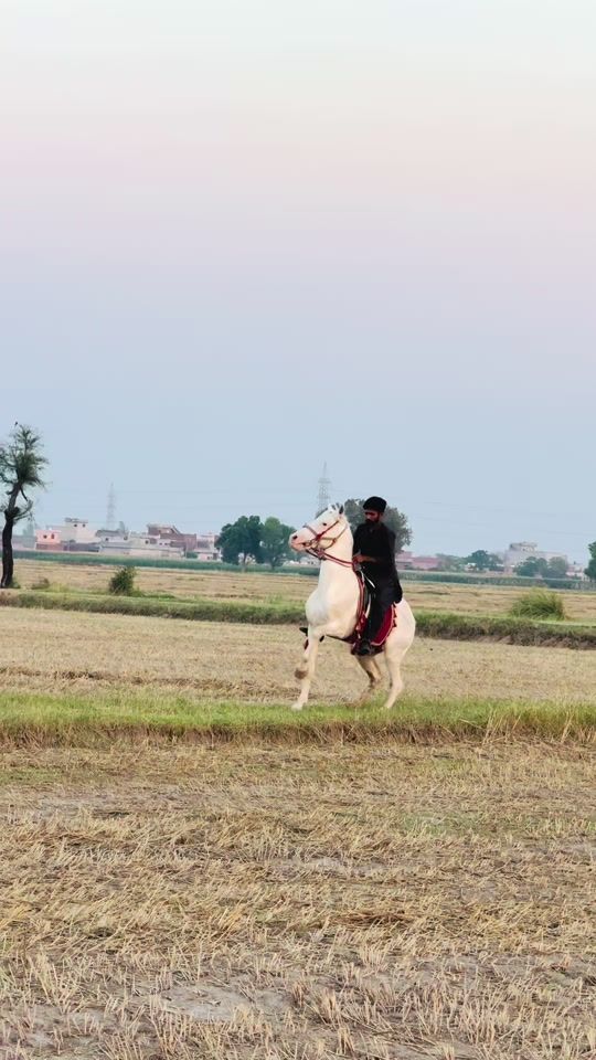 TikTok video thumbnail by ray.abdulhai