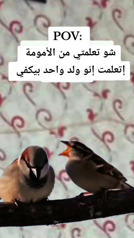TikTok video thumbnail by salamomar97