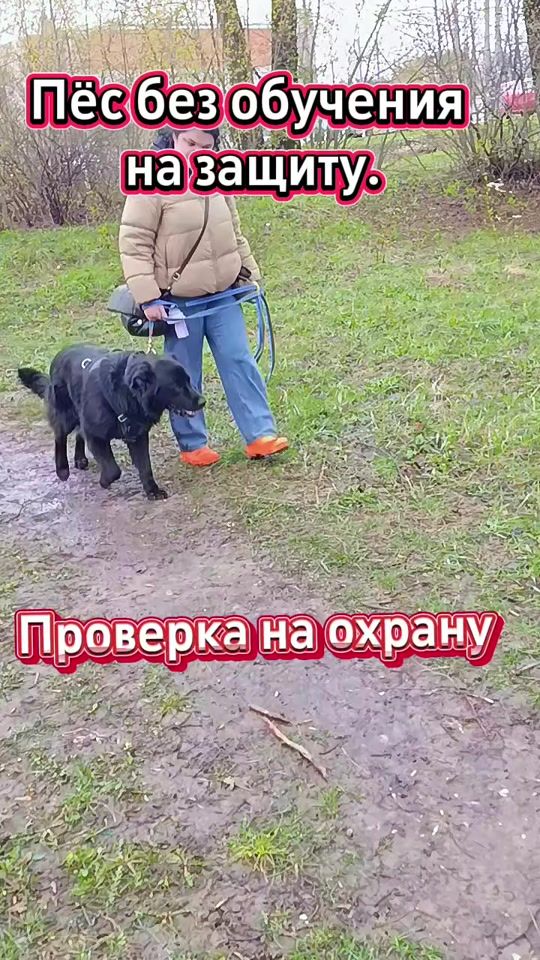 TikTok video thumbnail by andreisvezhentsev