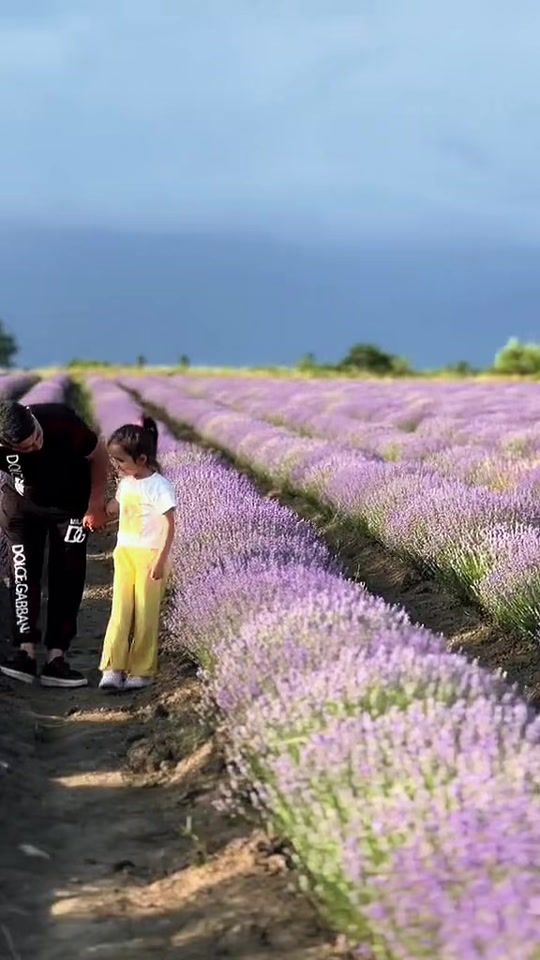 TikTok video thumbnail by pervin.abdullayev