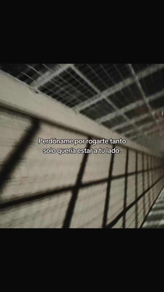 TikTok video thumbnail by sin.sentimiento03