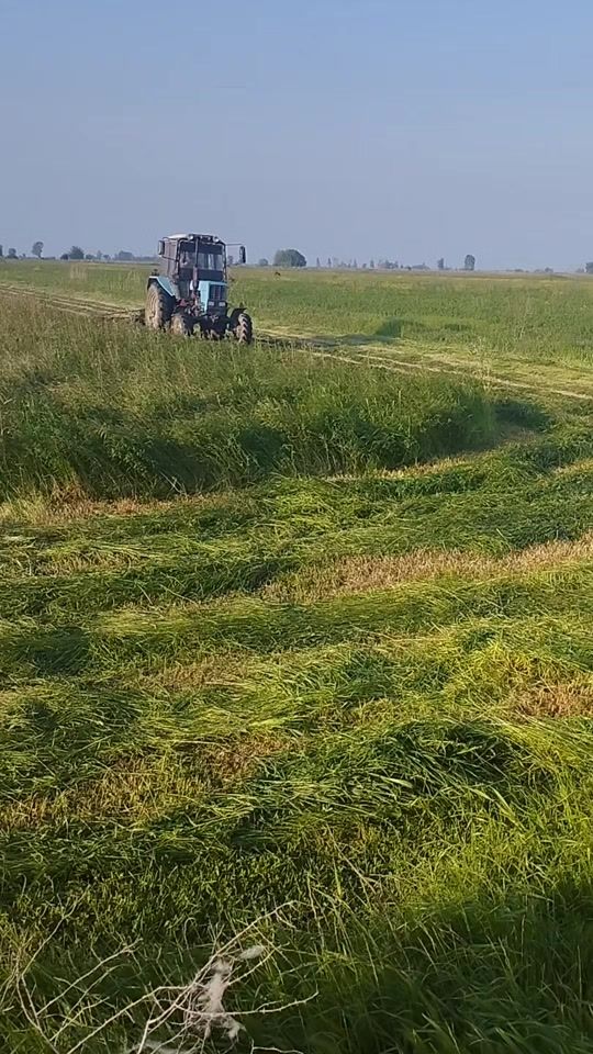 TikTok video thumbnail by e_k9991