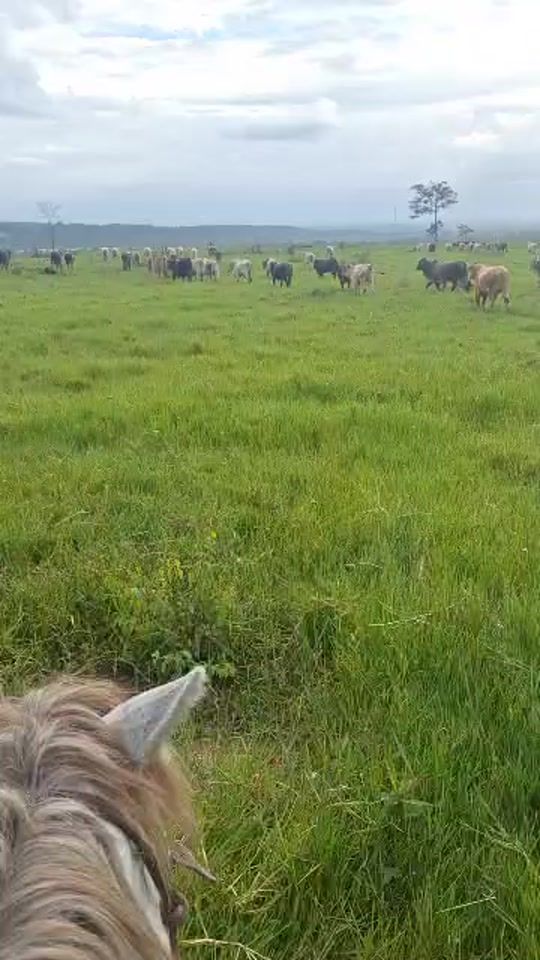 TikTok video thumbnail by mv3931