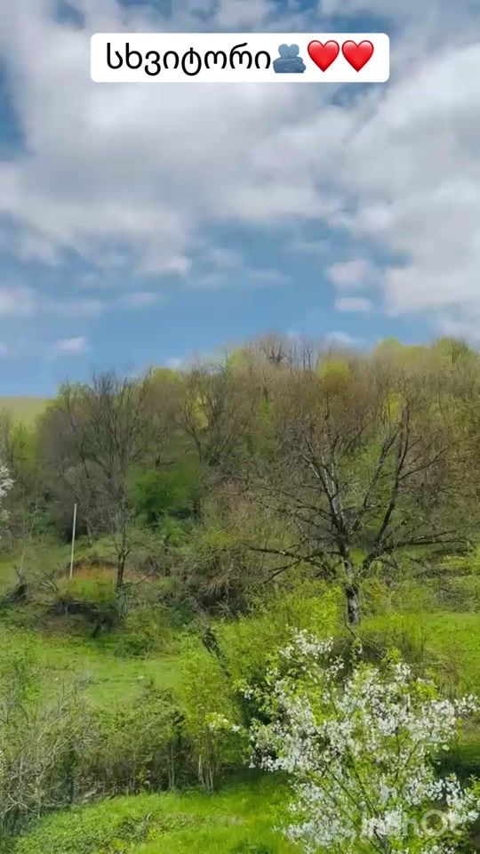 TikTok video thumbnail by xato_.._xato