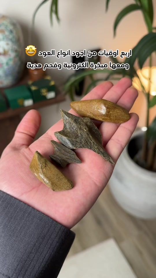 TikTok video thumbnail by 7htt