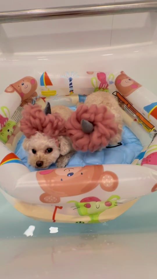 TikTok video thumbnail by mona2018.11.25