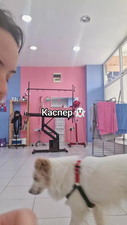 TikTok video thumbnail by centralbarkskopje