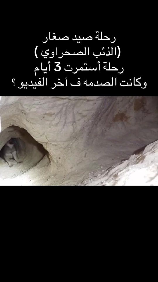 TikTok video thumbnail by aldeebalmshety