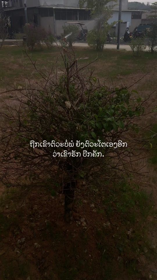 TikTok video thumbnail by fbaa1122