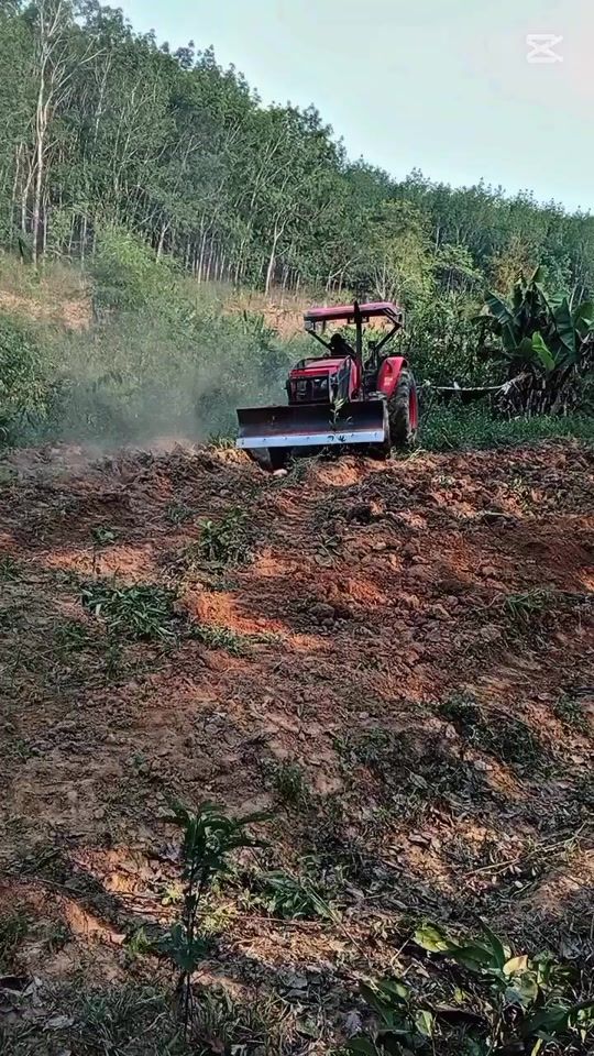 TikTok video thumbnail by fb17364