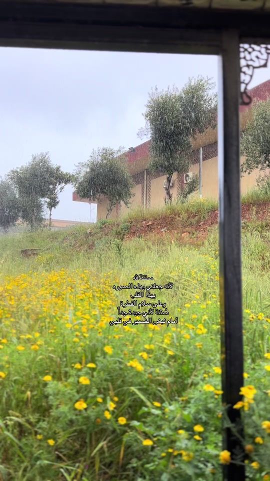 TikTok video thumbnail by mar04.r