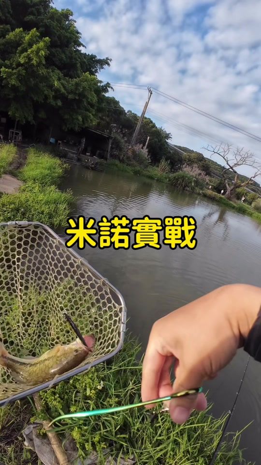 TikTok video thumbnail by lao_sung_fish