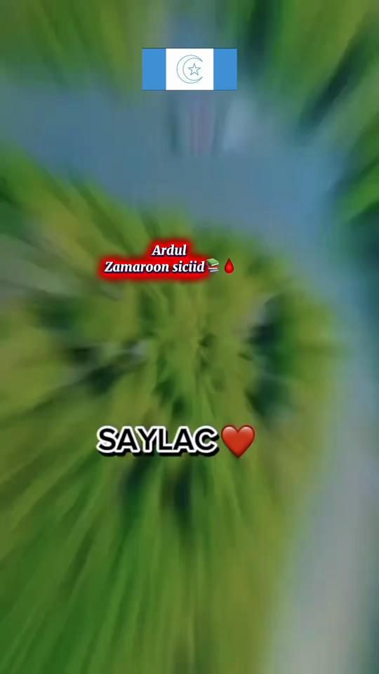 TikTok video thumbnail by halisogirl2