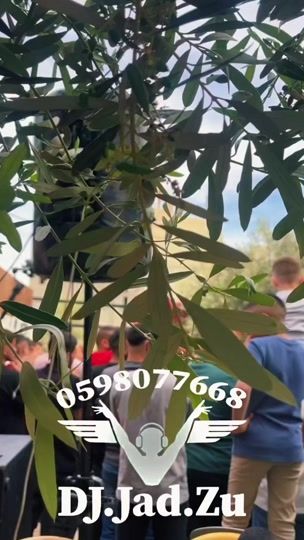 TikTok video thumbnail by dj_jad.zu