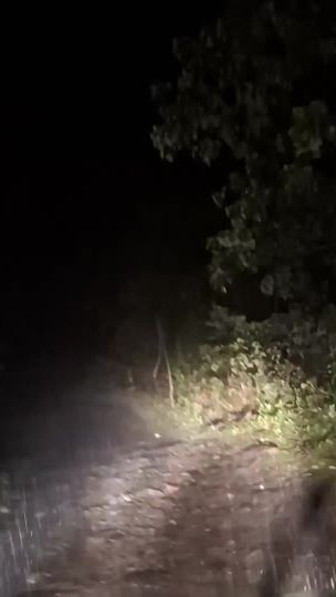 TikTok video thumbnail by prittimanrai