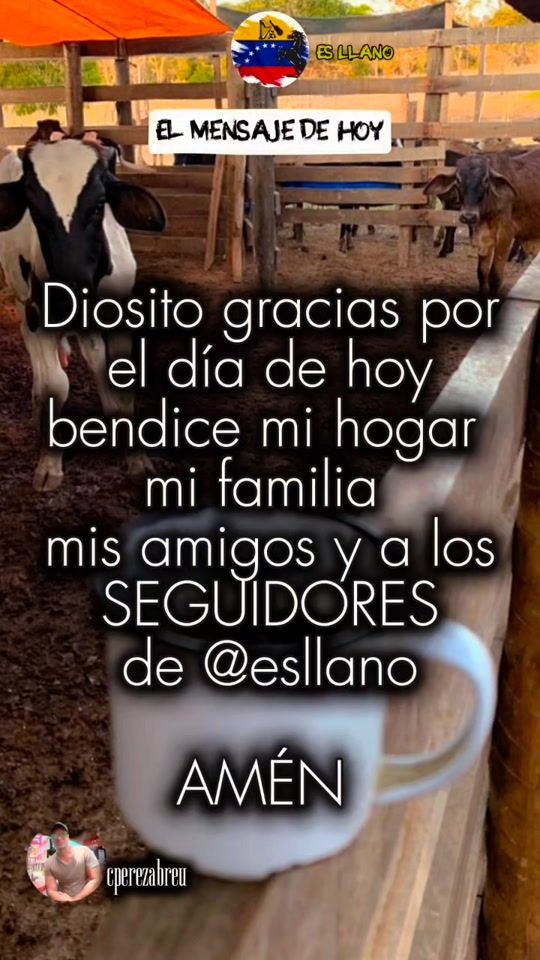 TikTok video thumbnail by esllano