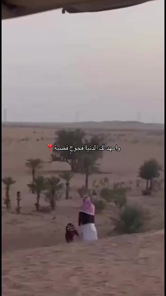 TikTok video thumbnail by njd__88