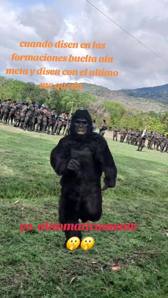 TikTok video thumbnail by el.alacrn7208