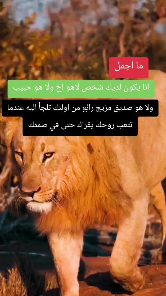 TikTok video thumbnail by cartier.770