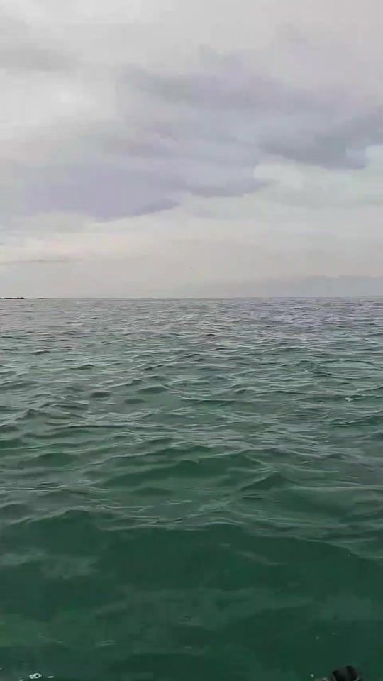 TikTok video thumbnail by crayfishkayaker