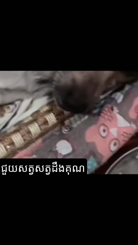 TikTok video thumbnail by prostuch168