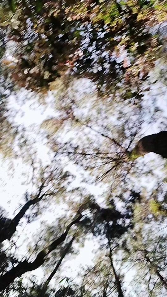 TikTok video thumbnail by iwan_ardy17