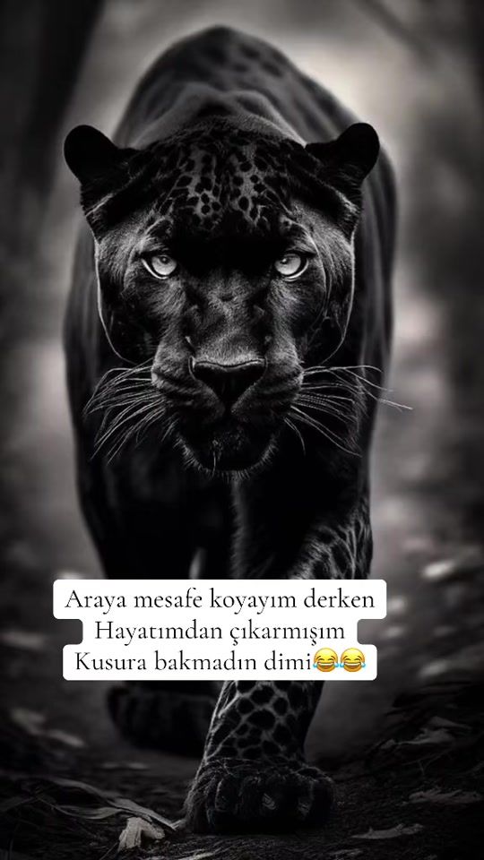 TikTok video thumbnail by peri_004