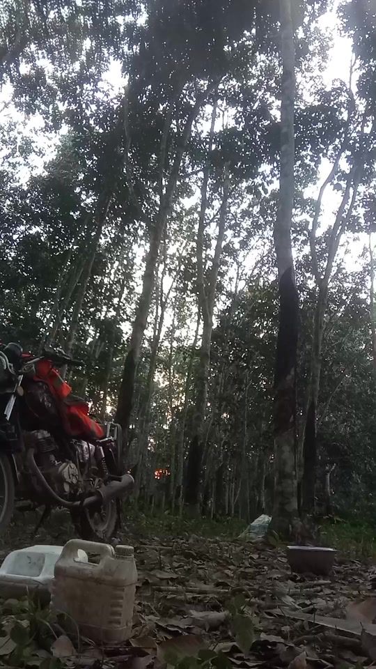 TikTok video thumbnail by batou.alex
