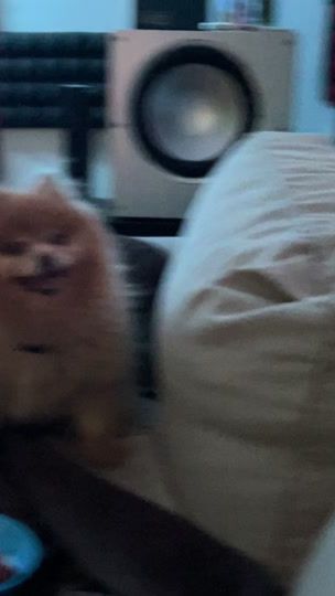 TikTok video thumbnail by henryhuby