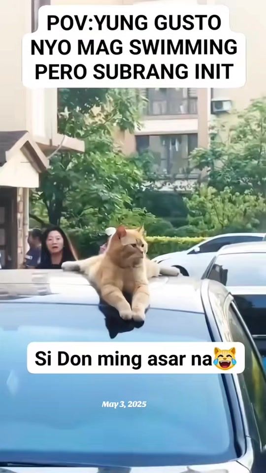 TikTok video thumbnail by pakiko_