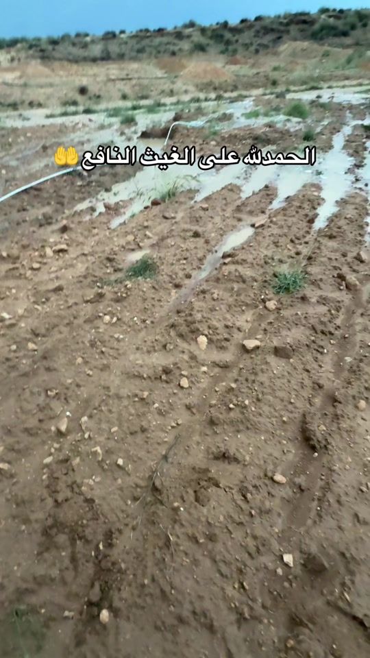 TikTok video thumbnail by dali_lancien