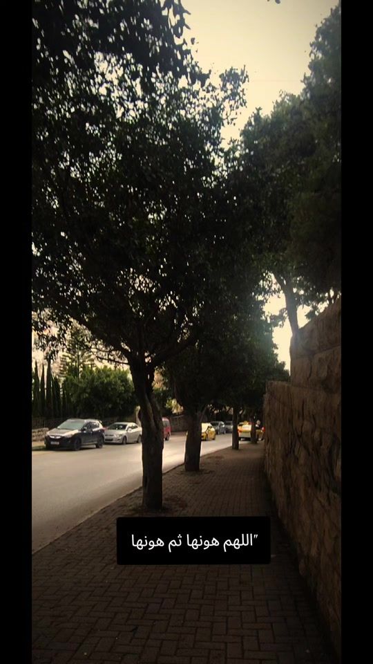 TikTok video thumbnail by dewdrop_05