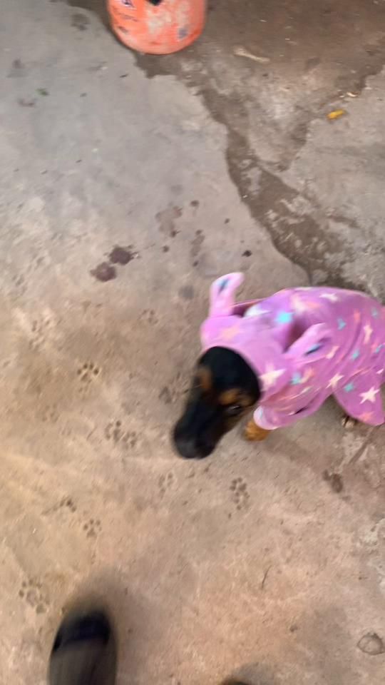 TikTok video thumbnail by _del14_