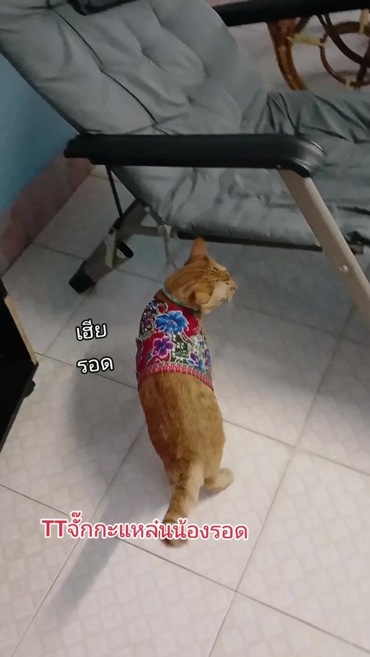 TikTok video thumbnail by noo.na938