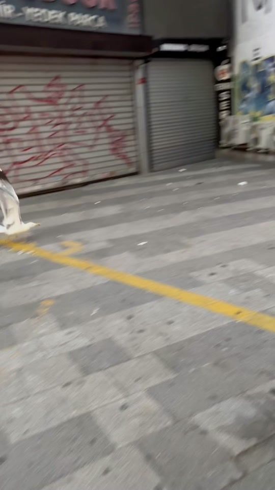 TikTok video thumbnail by yunuseski4