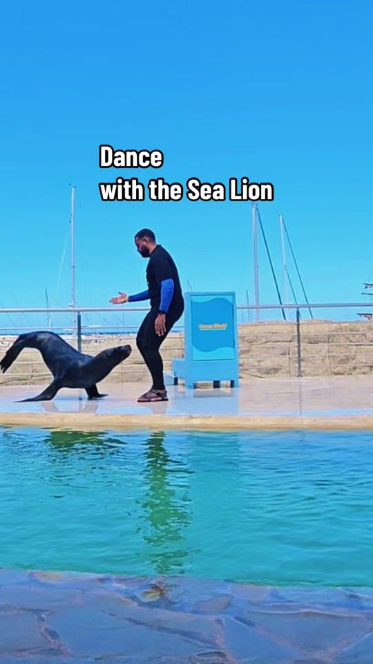 TikTok video thumbnail by oceanworldrd