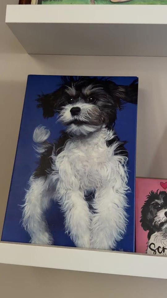 TikTok video thumbnail by spencerlitzinger