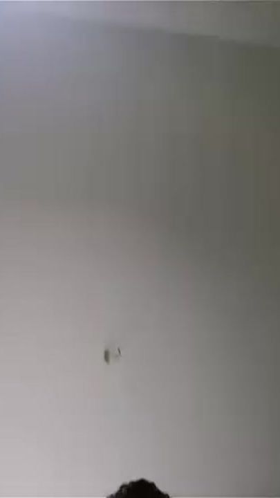 TikTok video thumbnail by nemess_bader