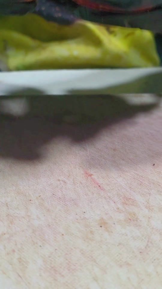 TikTok video thumbnail by lasenchiladasdeana