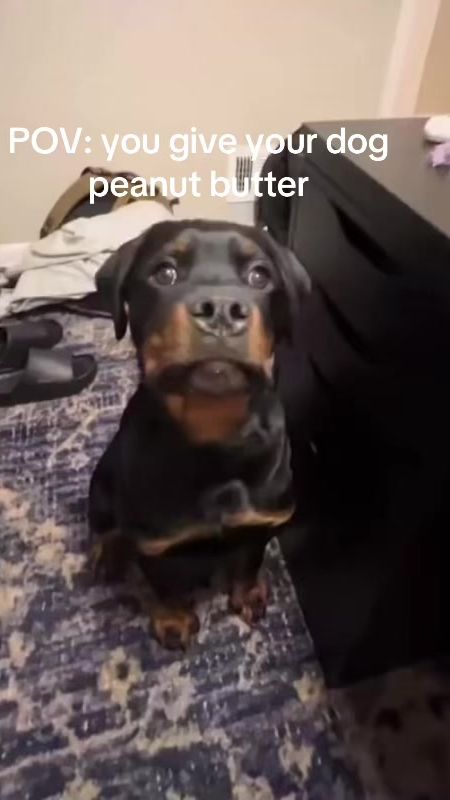 TikTok video thumbnail by aidenxcsz