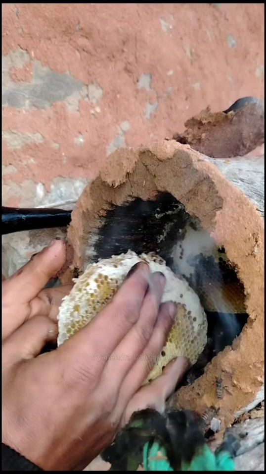 TikTok video thumbnail by sagoon.nepal