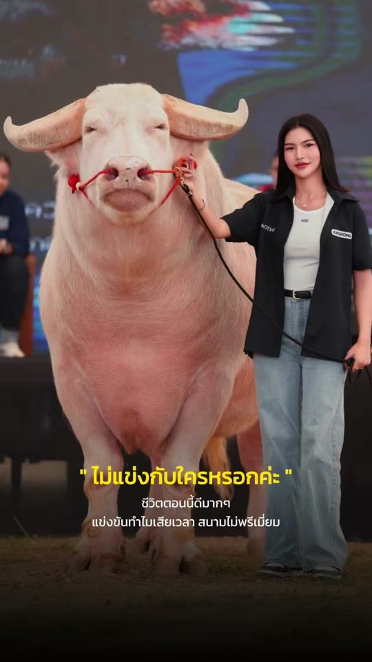 TikTok video thumbnail by pprimployy_