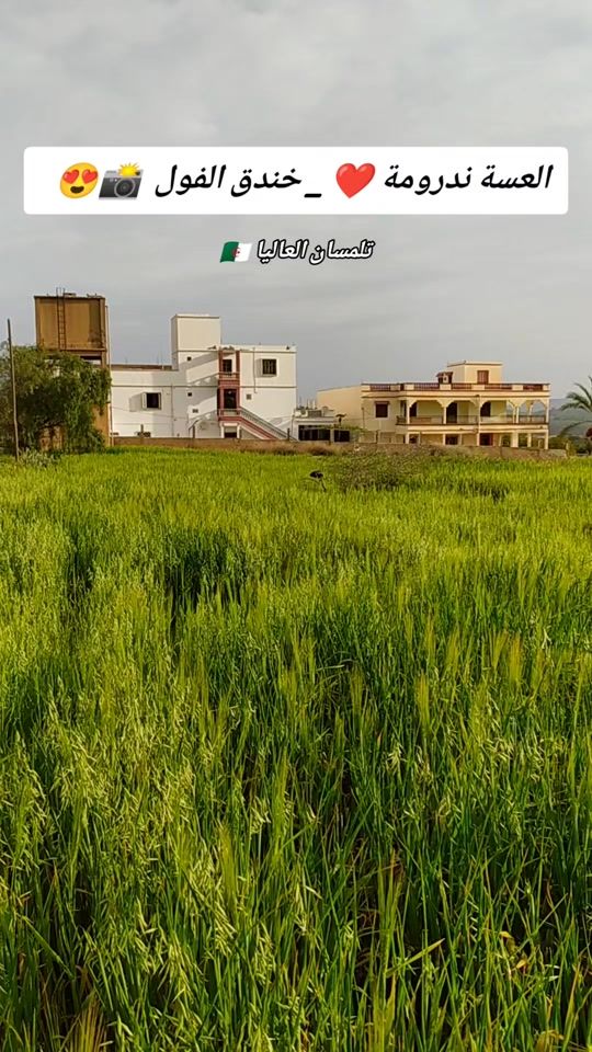 TikTok video thumbnail by tlemcen.elaliaa13