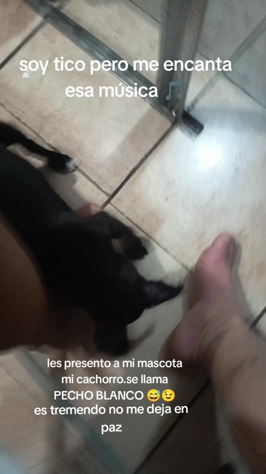 TikTok video thumbnail by rafaelhernadez38