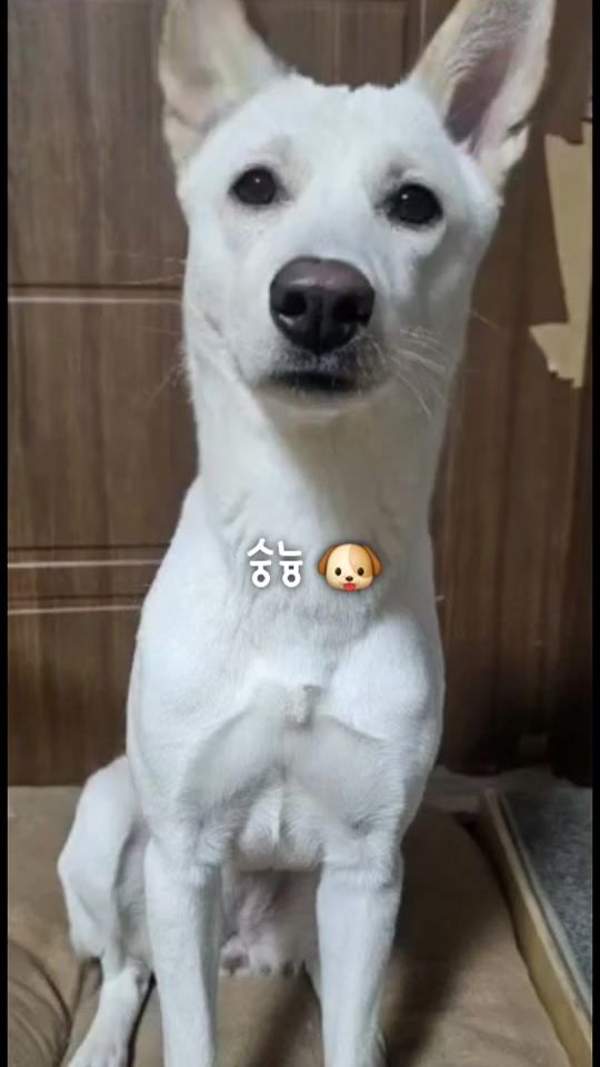 TikTok video thumbnail by nuri2621