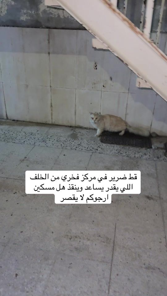 TikTok video thumbnail by hussein_abdulkarim