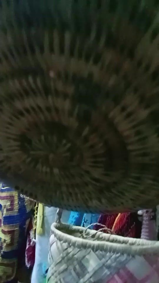 TikTok video thumbnail by vii.bee4