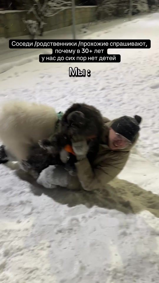 TikTok video thumbnail by wowsamoyed