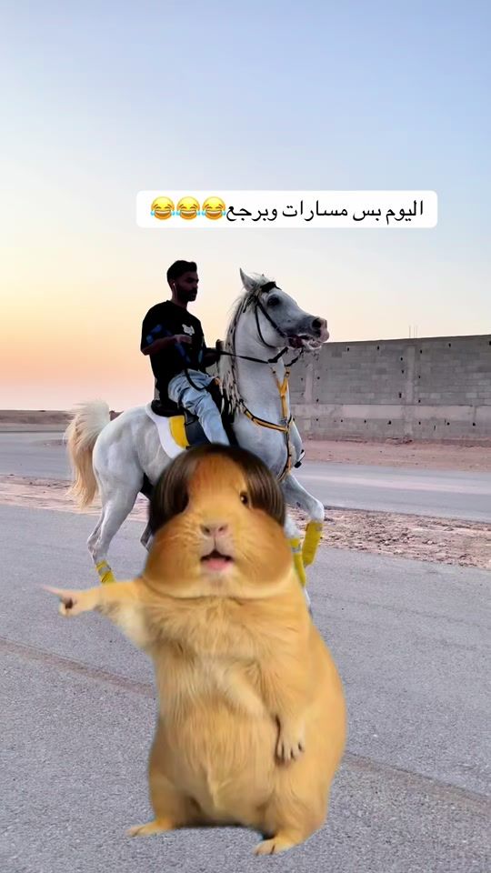 TikTok video thumbnail by ku.vv1